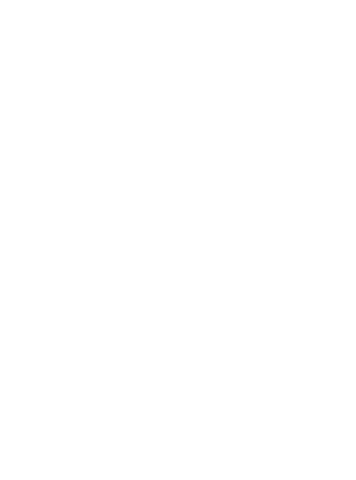 picto_flash