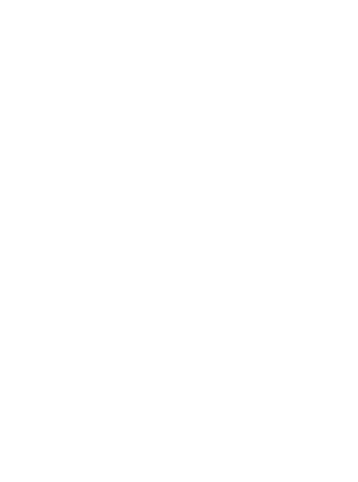 picto_flash2
